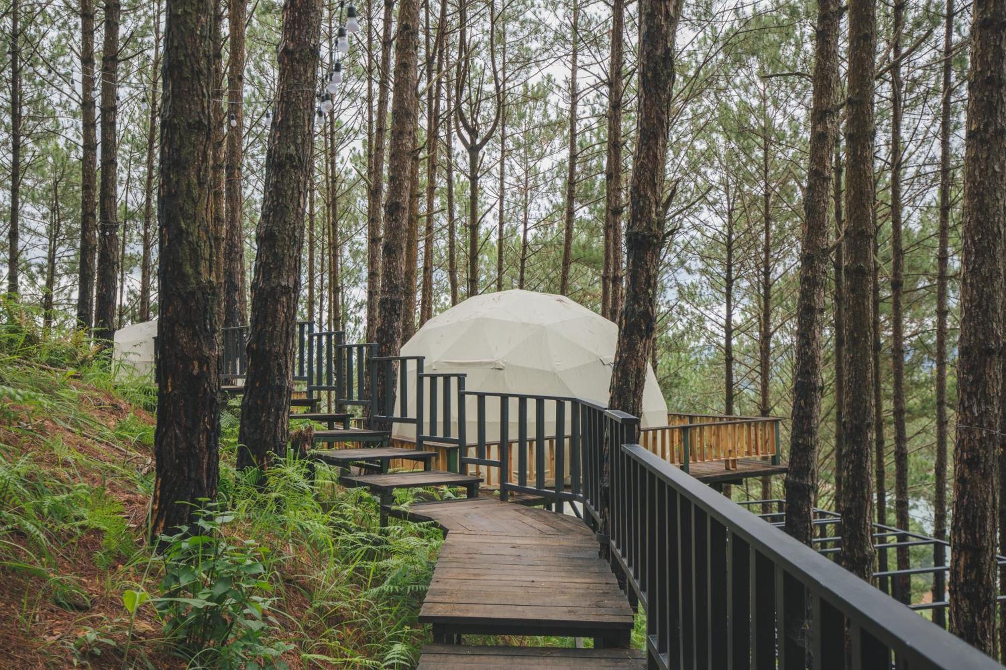 Lavender Dalat Hotel And Resorts Kültér fotó