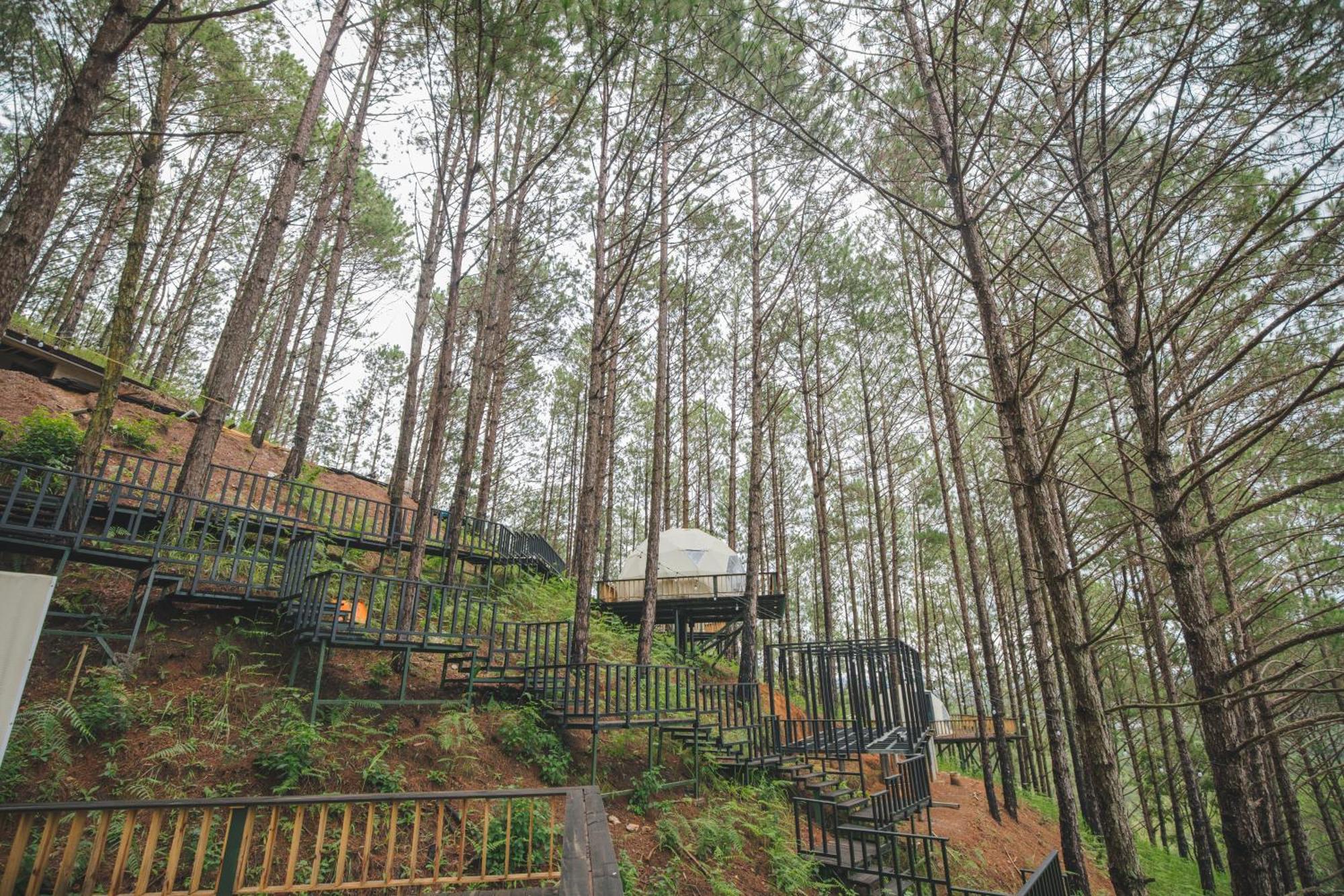 Lavender Dalat Hotel And Resorts Kültér fotó